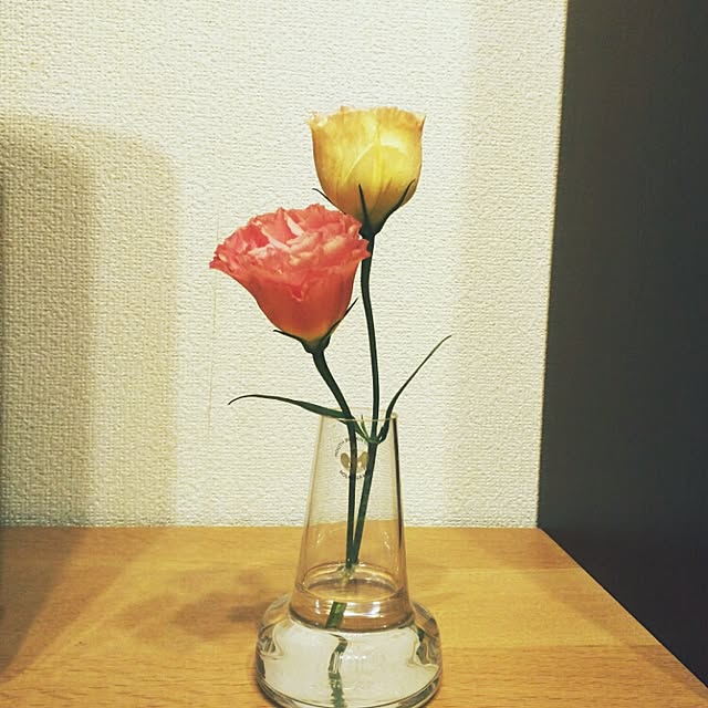 kouyoriさんの実例写真
