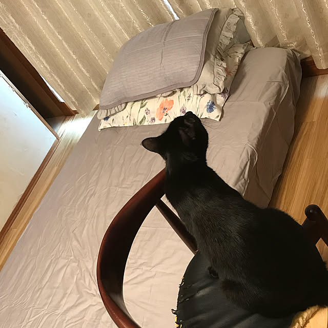 Loveupinto74ersさんの実例写真