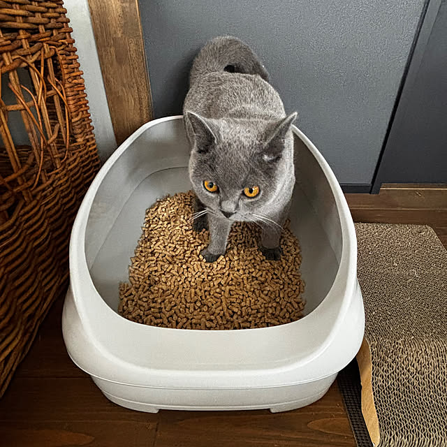 lulu1109さんの部屋