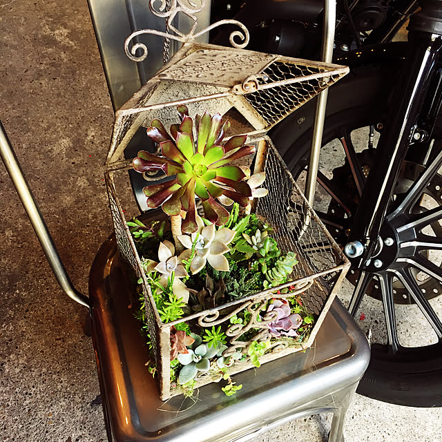 GarageDDさんの実例写真