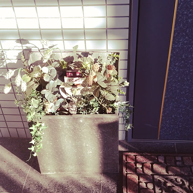 haxtusi301さんの実例写真