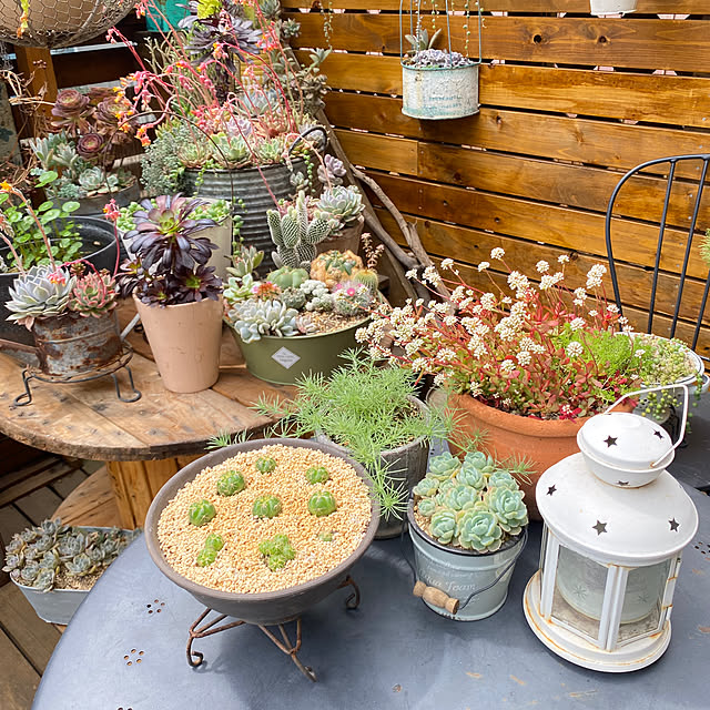 mintteaさんの部屋