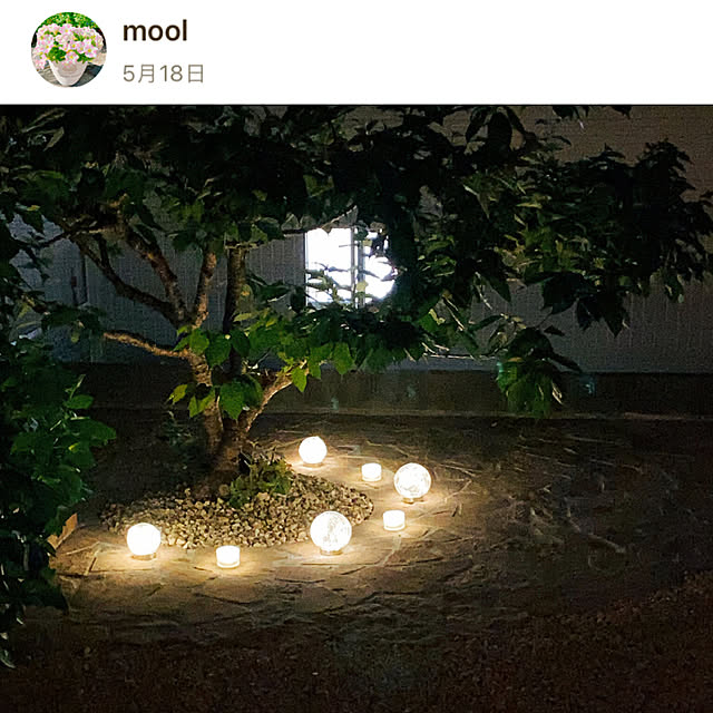 moolさんの実例写真