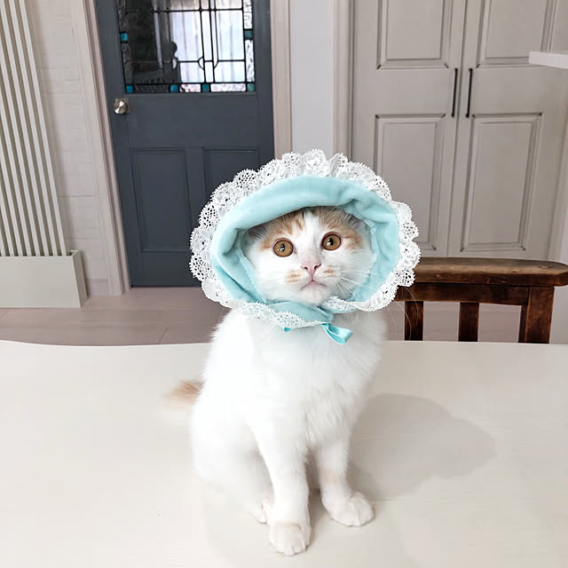 yuchiさんの実例写真