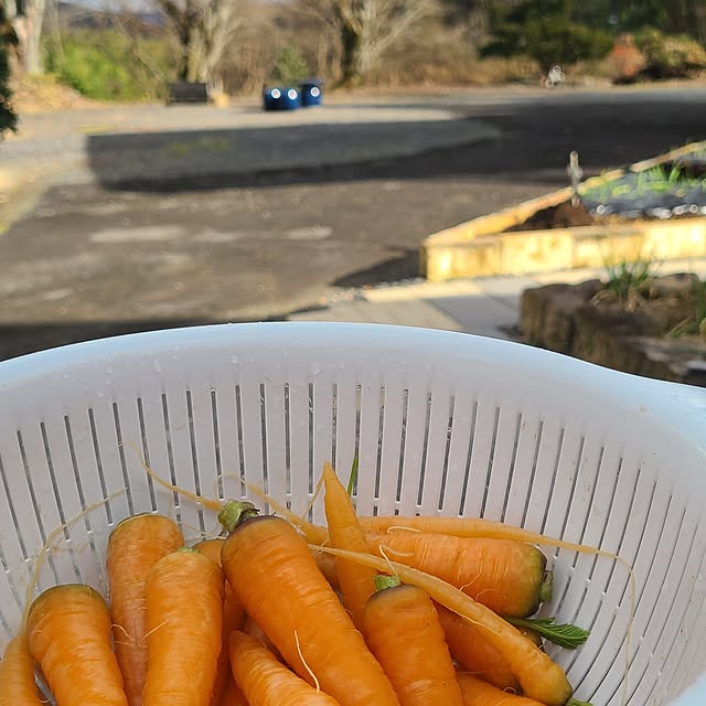 Rubiconさんの部屋