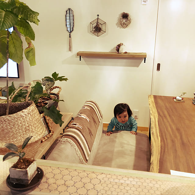takakoさんの実例写真