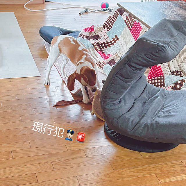 prelumoさんの実例写真