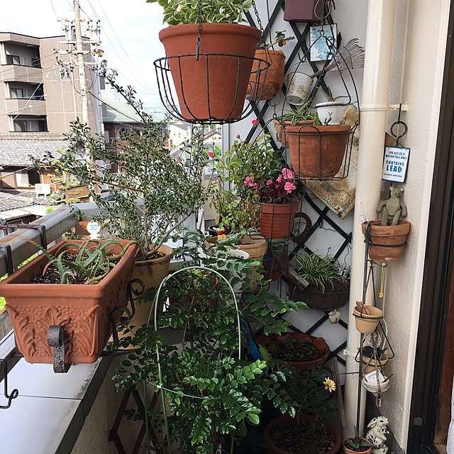kuruさんの実例写真