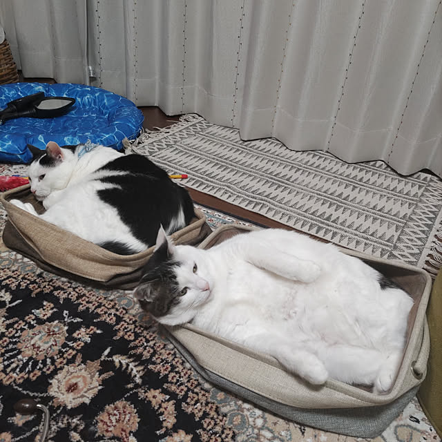 yuuさんの実例写真
