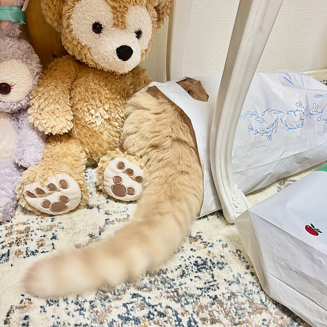 naokoさんの部屋
