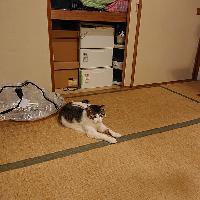 okyosan101さんの実例写真