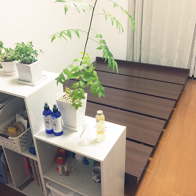 dedenshaさんの実例写真
