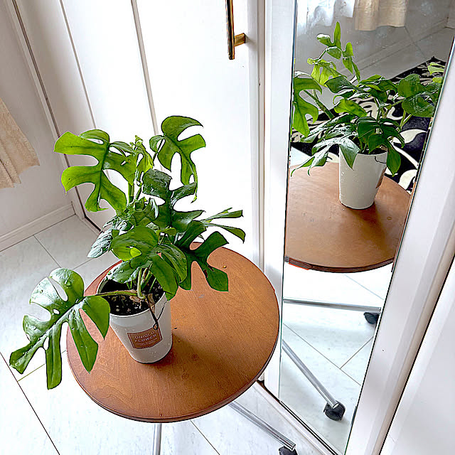 syutmmさんの実例写真