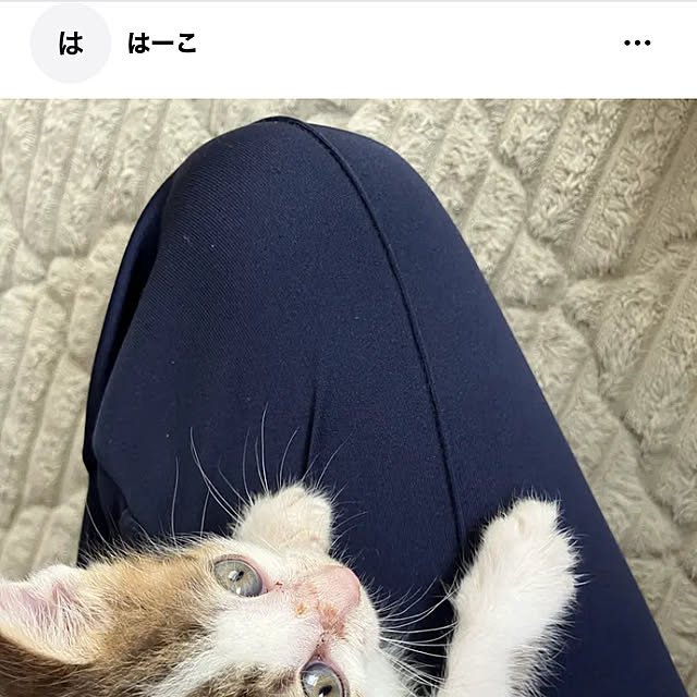 ha_koさんの実例写真