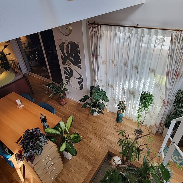 nonbiri_house_さんの部屋