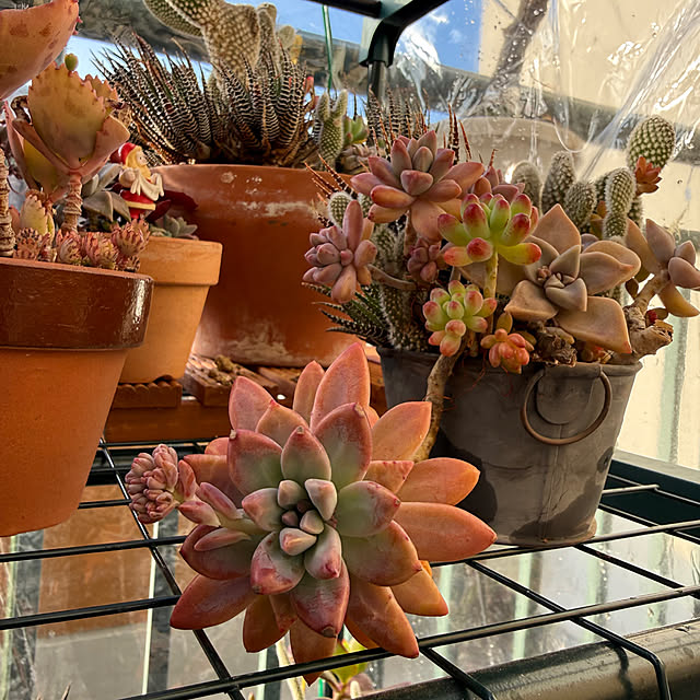 Aqettyさんの部屋