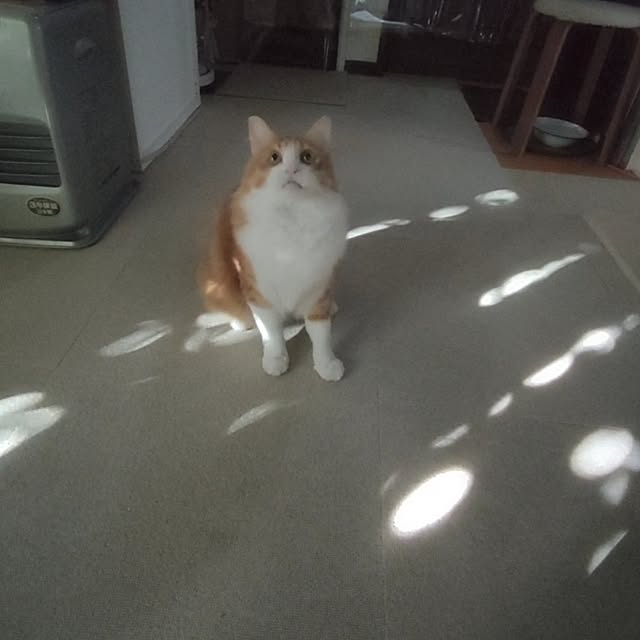 mori_6_12さんの部屋