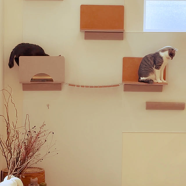 lemonadeさんの部屋