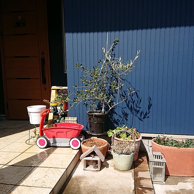 urchinさんの部屋