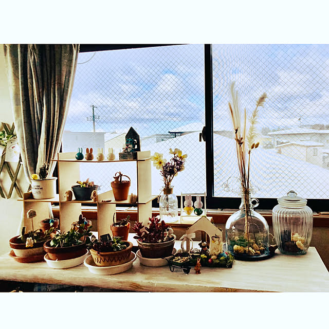 CoCo0617さんの実例写真