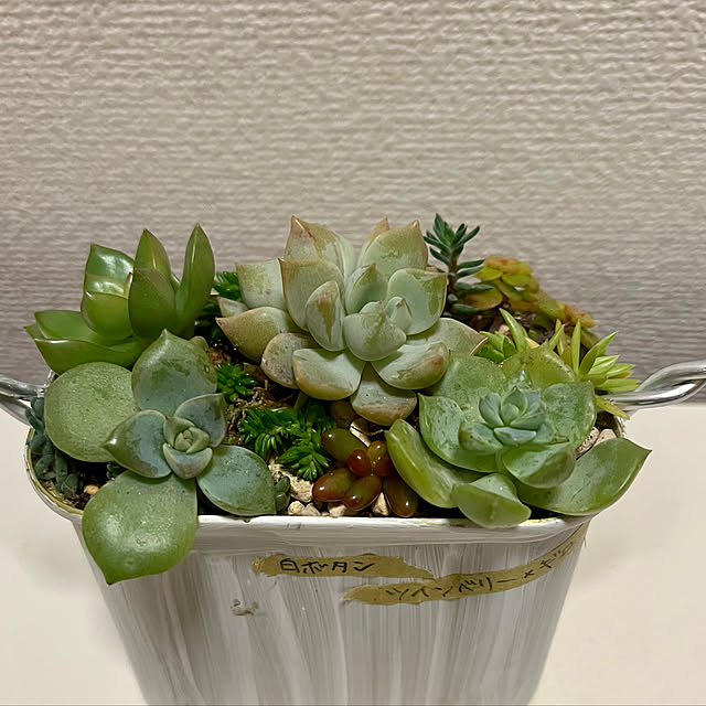 Machaguさんの実例写真