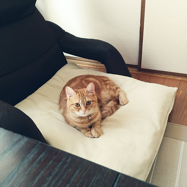 fruityanさんの実例写真