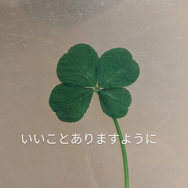kouheiyuto24623takaさんの実例写真