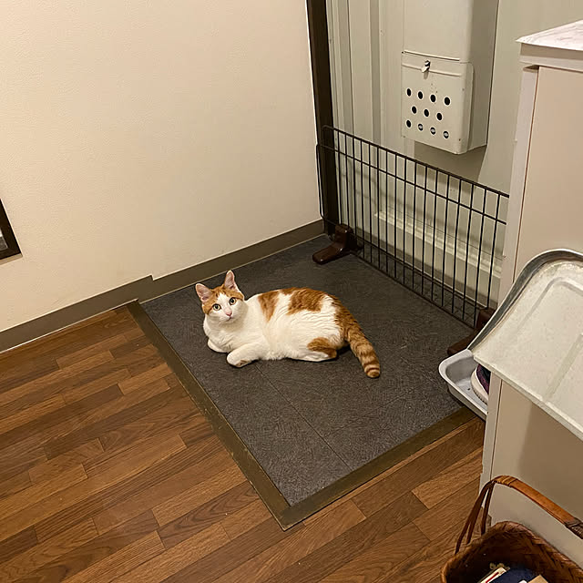 YUKAさんの実例写真