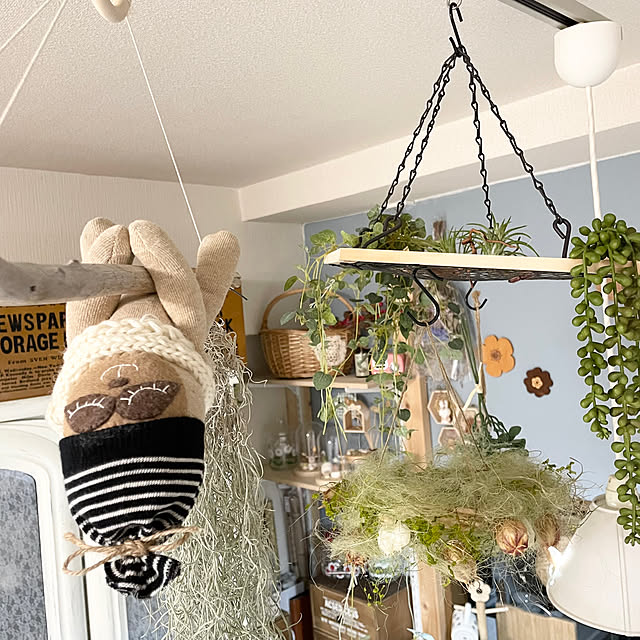 honpoさんの部屋