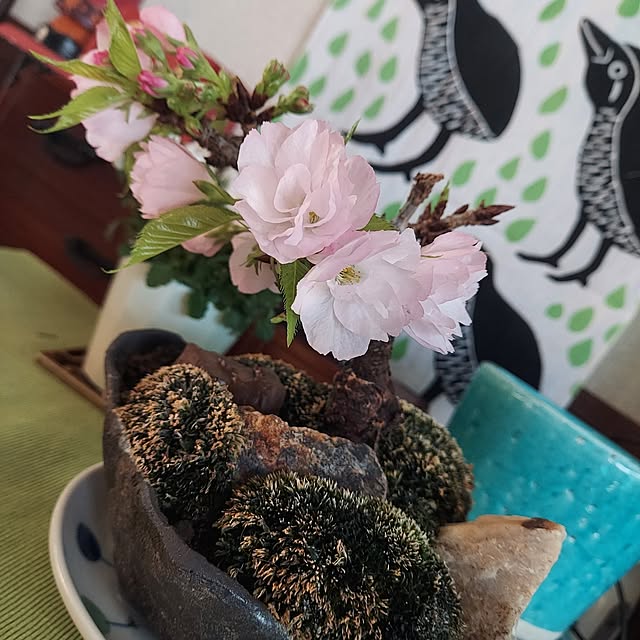 chizuさんの部屋