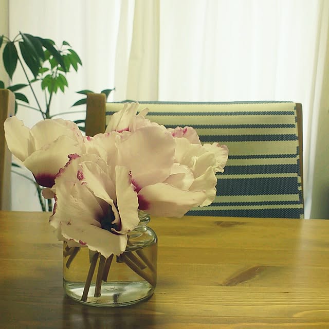 机/植物のインテリア実例 - 2014-04-16 18:15:49