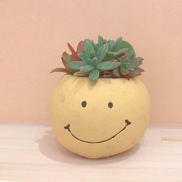 Yukicotoさんの実例写真