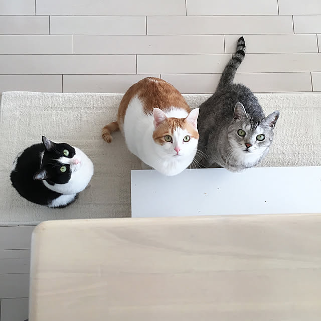 bikkeさんの実例写真