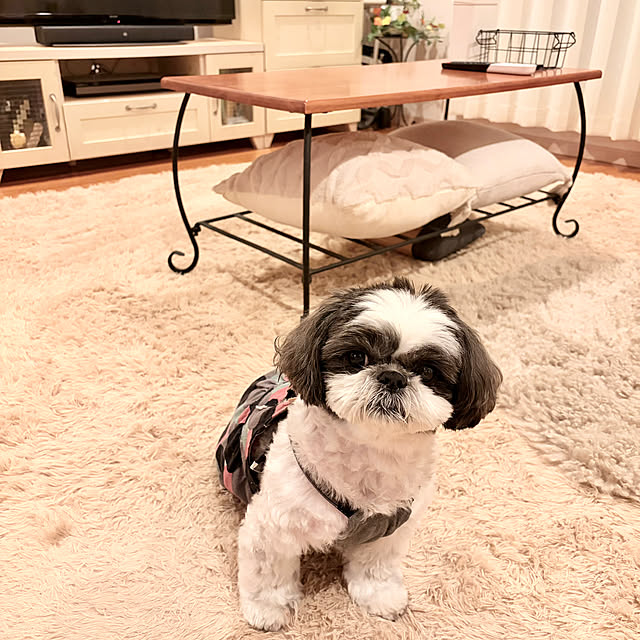 maricomariさんの実例写真