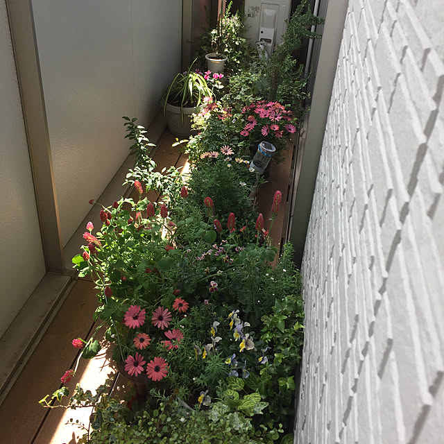 emiさんの実例写真