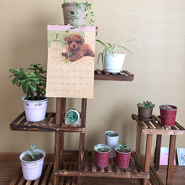 candyさんの実例写真
