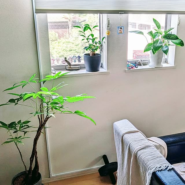 honohasuさんの部屋