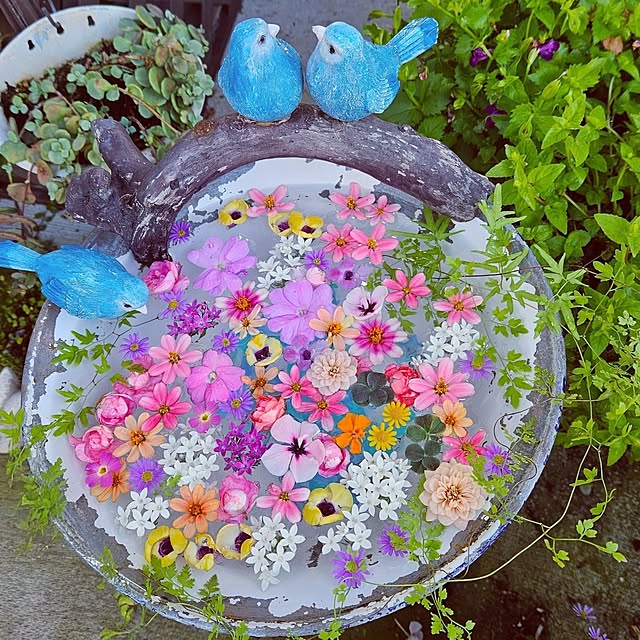 mocomocoさんの実例写真