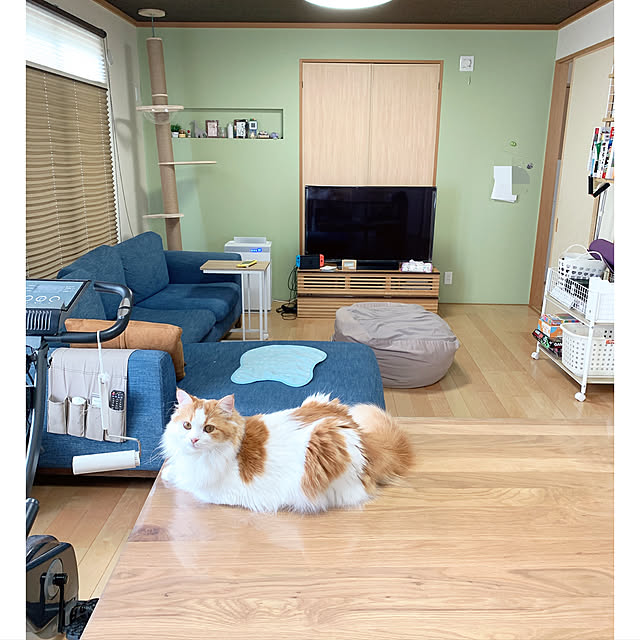 sofa235さんの実例写真