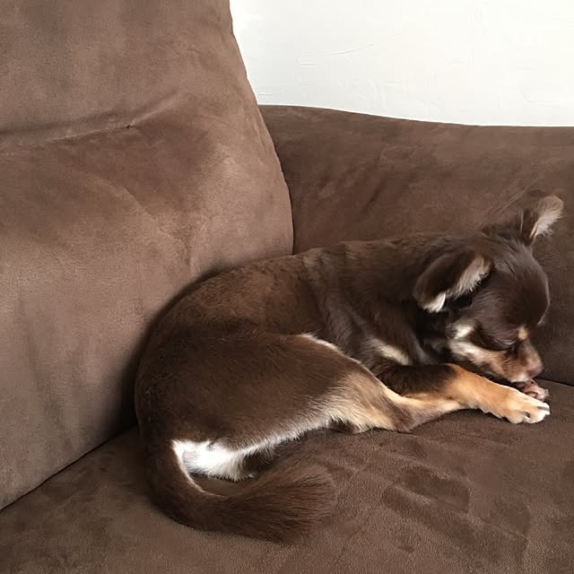 takaさんの実例写真