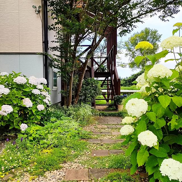 ai.happyplaceさんの実例写真