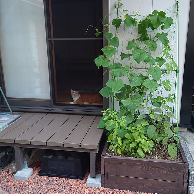 taka-kiさんの実例写真