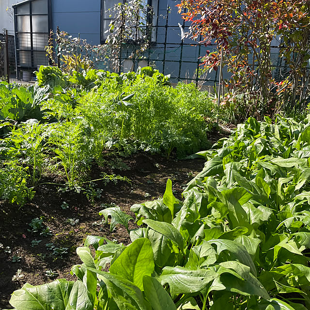 natsumiさんの実例写真