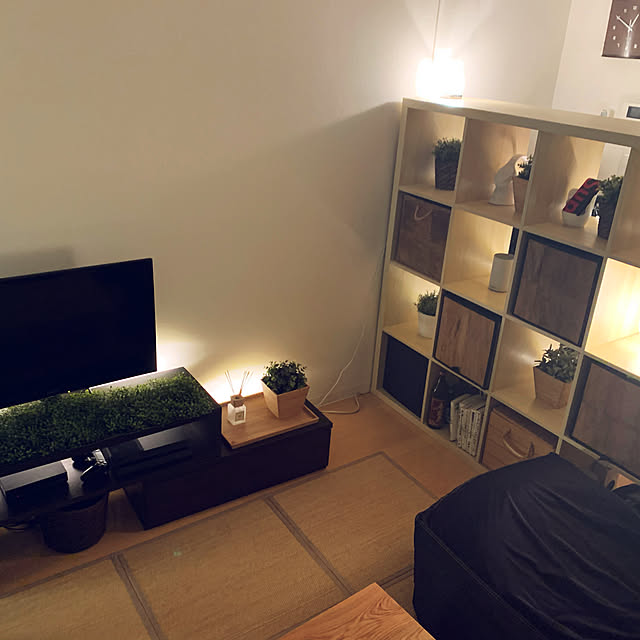 一人暮らし/観葉植物/IKEA/リビングのインテリア実例 - 2020-11-04 00:51:32