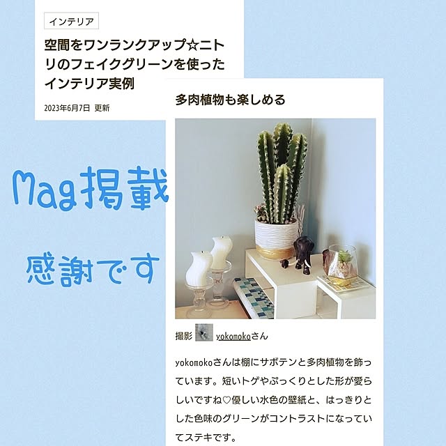 yokomokoさんの実例写真