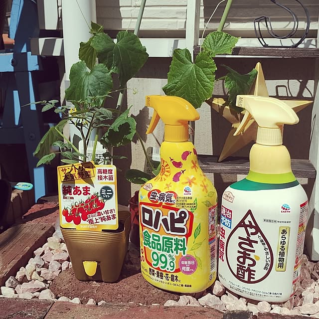 kana_ciiさんの実例写真