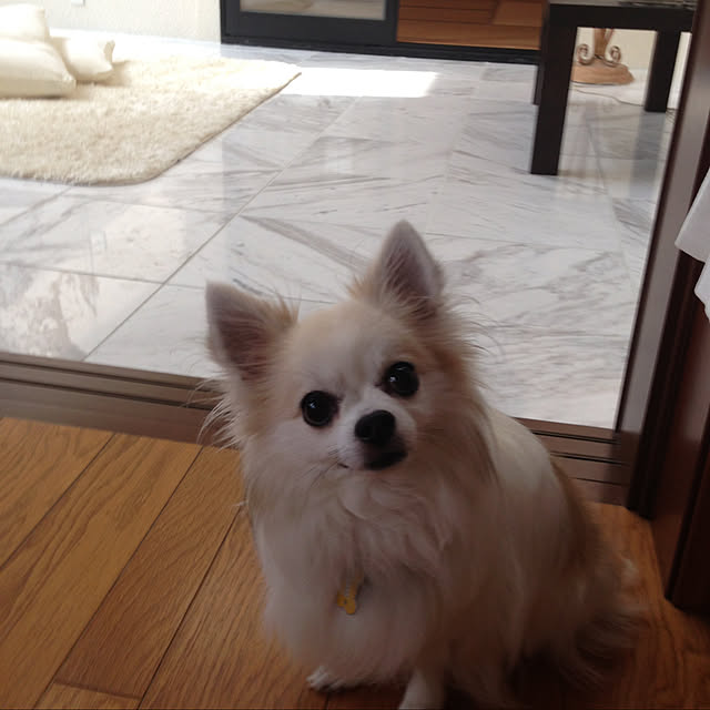 cocoaさんの実例写真