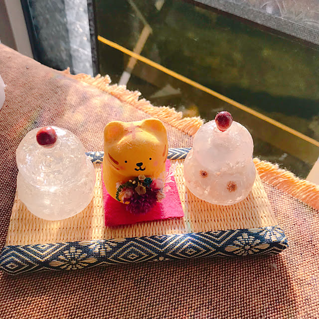 portulacaさんの実例写真
