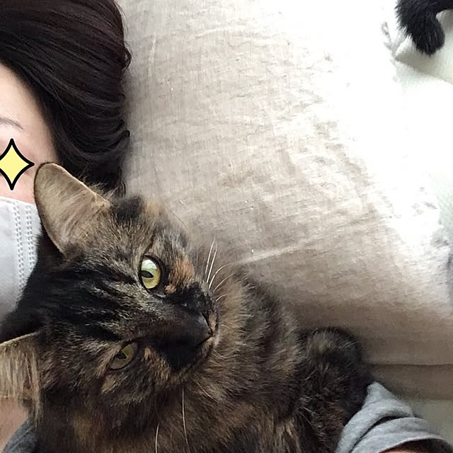 mikomaruさんの実例写真