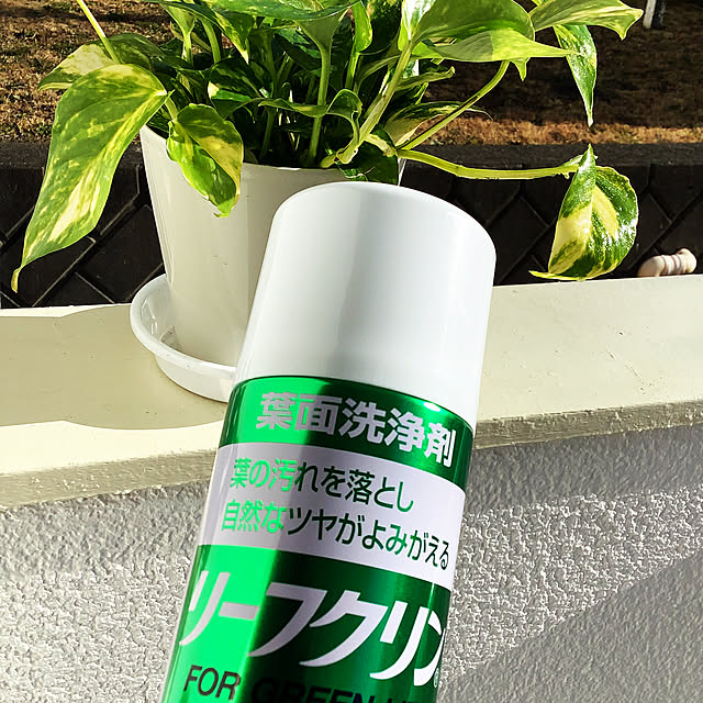 Doriさんの実例写真
